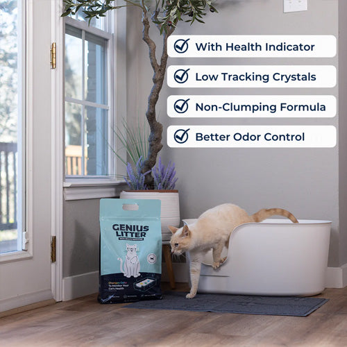 Genius Litter - Advanced Health Monitoring Cat Litter