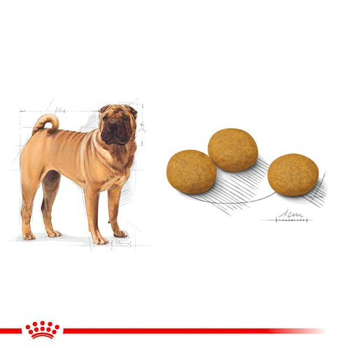 ROYAL CANIN® Medium Dermacomfort Adult Dry Food - Pooch Pet Stores LLC