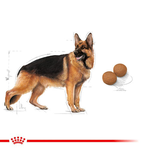 ROYAL CANIN® Size Health Nutrition Maxi Adult Dry Food - Pooch Pet Stores LLC