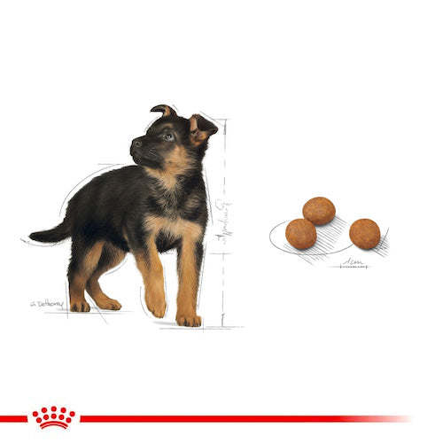 ROYAL CANIN® Size Health Nutrition Maxi Puppy Dry Food - Pooch Pet Stores LLC