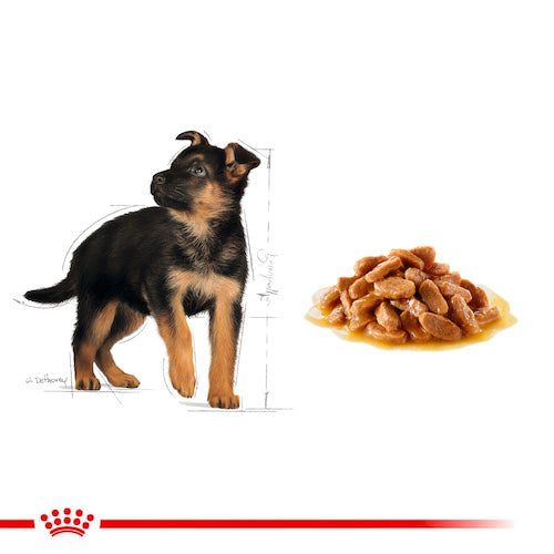 ROYAL CANIN® Size Health Nutrition Maxi Puppy Wet Food - Pooch Pet Stores LLC