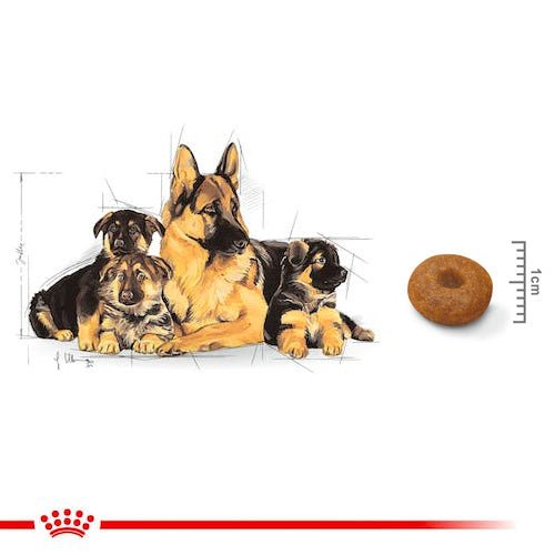 ROYAL CANIN® Size Health Nutrition Maxi Starter Dry Food - Pooch Pet Stores LLC