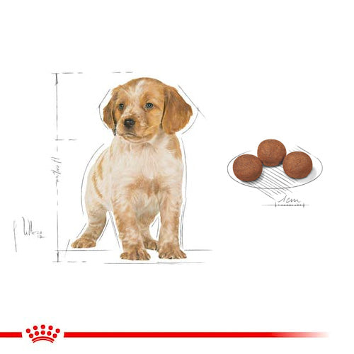 ROYAL CANIN® Size Health Nutrition Medium Puppy Dry Food - Pooch Pet Stores LLC