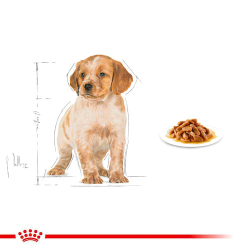 ROYAL CANIN® Size Health Nutrition Medium Puppy Wet Food - Pooch Pet Stores LLC