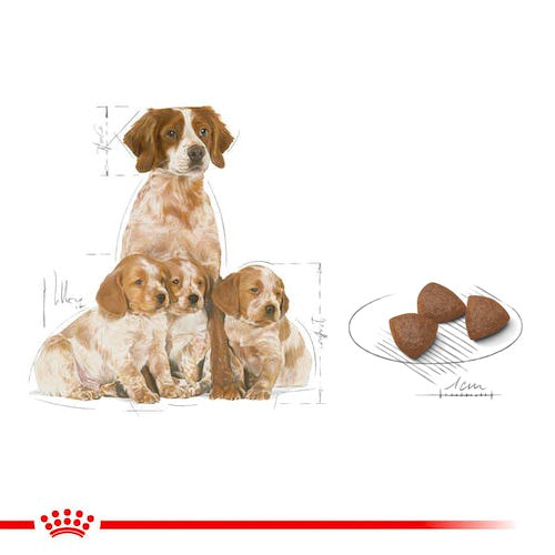 ROYAL CANIN® Size Health Nutrition Medium Starter Dry Food - Pooch Pet Stores LLC