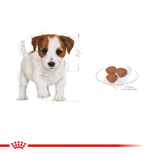 ROYAL CANIN® Size Health Nutrition Mini Puppy Dry Food - Pooch Pet Stores LLC