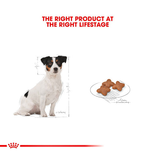 ROYAL CANIN® Size Health Nutrition Mini Adult 8+ Dry Food - Pooch Pet Stores LLC