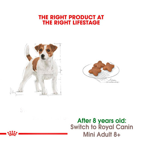 ROYAL CANIN® Size Health Nutrition Mini Adult Dry Food - Pooch Pet Stores LLC