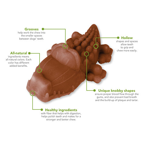 WHIMZEES® Alligator Natural Dental Chew - Pooch Pet Stores LLC